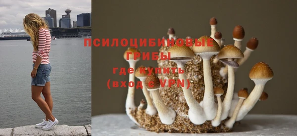 прущие крисы Аркадак